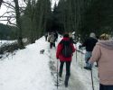 Christtagsfreudenweg 2013 - 015 - 20 min Aufstieg zum Rosegger Geburtshaus