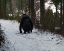 Christtagsfreudenweg 2013 - 036 - ....die steileren bewaeltigen einige nur mehr so