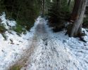 Christtagsfreudenweg 2013 - 040 - Abstieg vom Hoellkogel